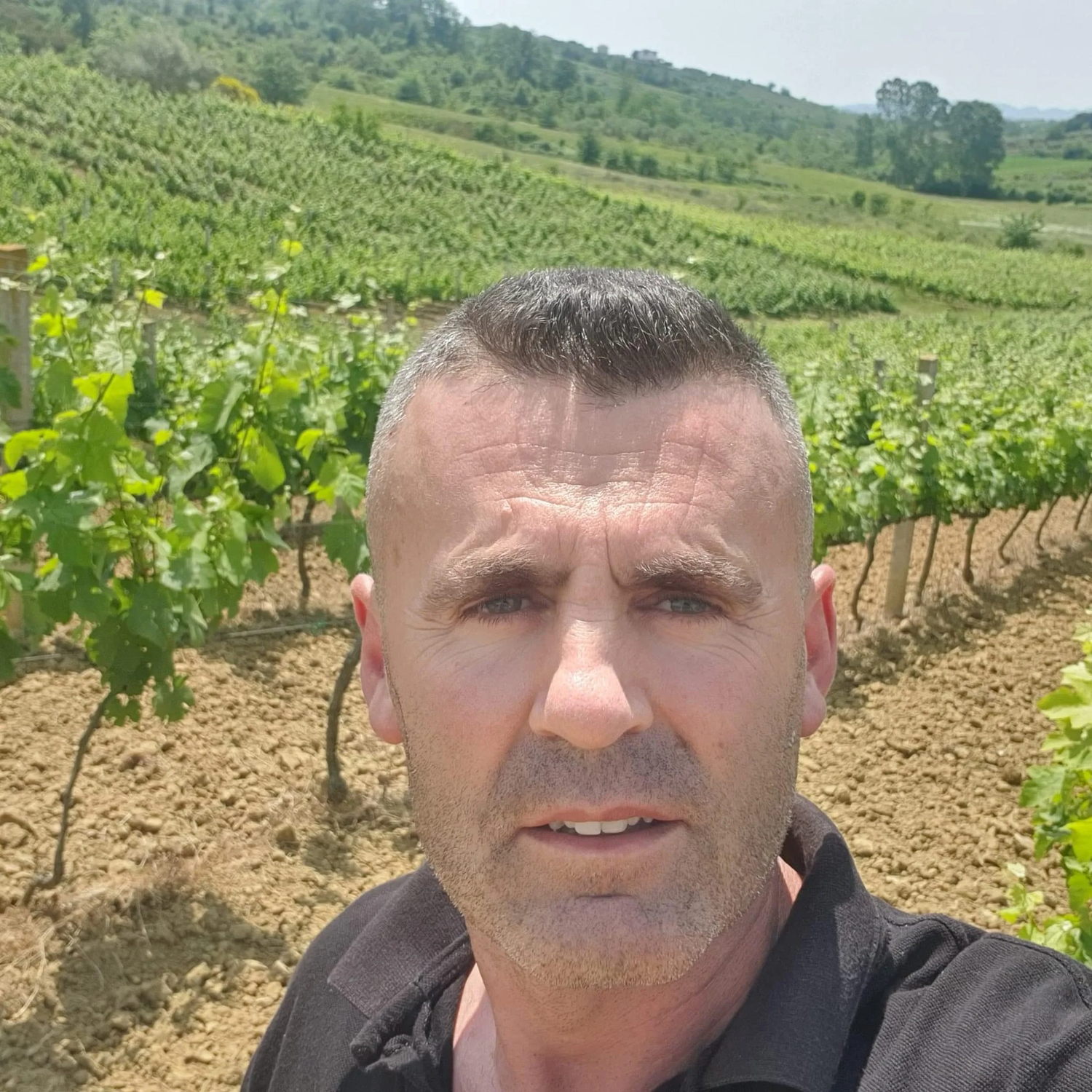 Me Zemer Wine Producer Herta Winery in Albania