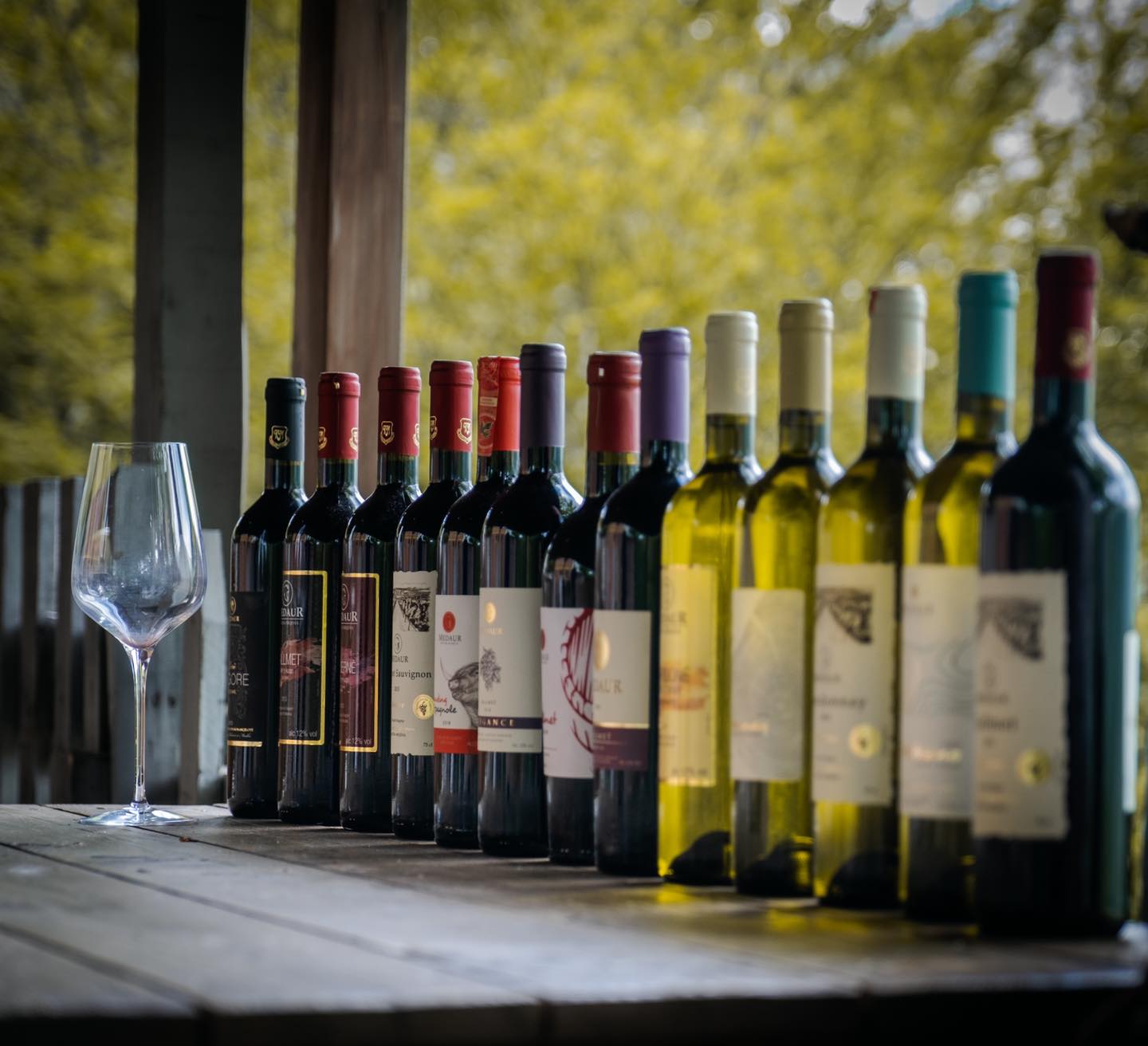 Albanian wine collection from Medaur Winery 