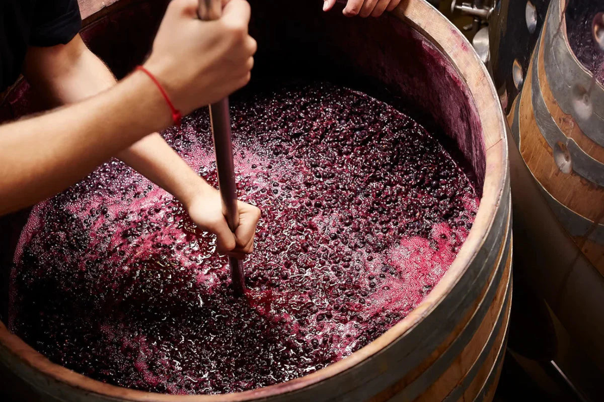 turning the must for the wine making in wine in albania 