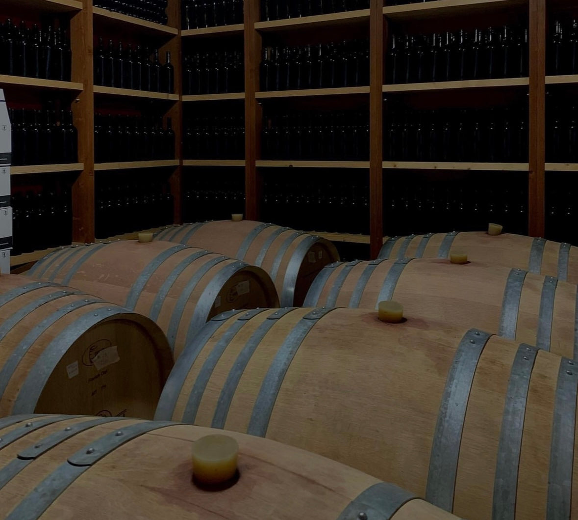 oak barrels at Kallmeti Winery Albania 