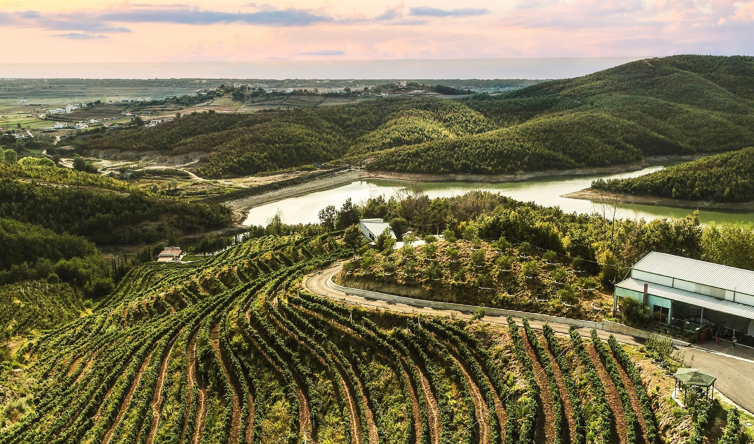 picturesque vineyards view from Duka Winery Albania